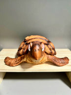 JT Studio Dragon Ball Z Turtle 11cm Anime Figure PVC Statue 1/6 Scale