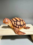 JT Studio Dragon Ball Z Turtle 11cm Anime Figure PVC Statue 1/6 Scale