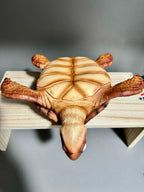 JT Studio Dragon Ball Z Turtle 11cm Anime Figure PVC Statue 1/6 Scale