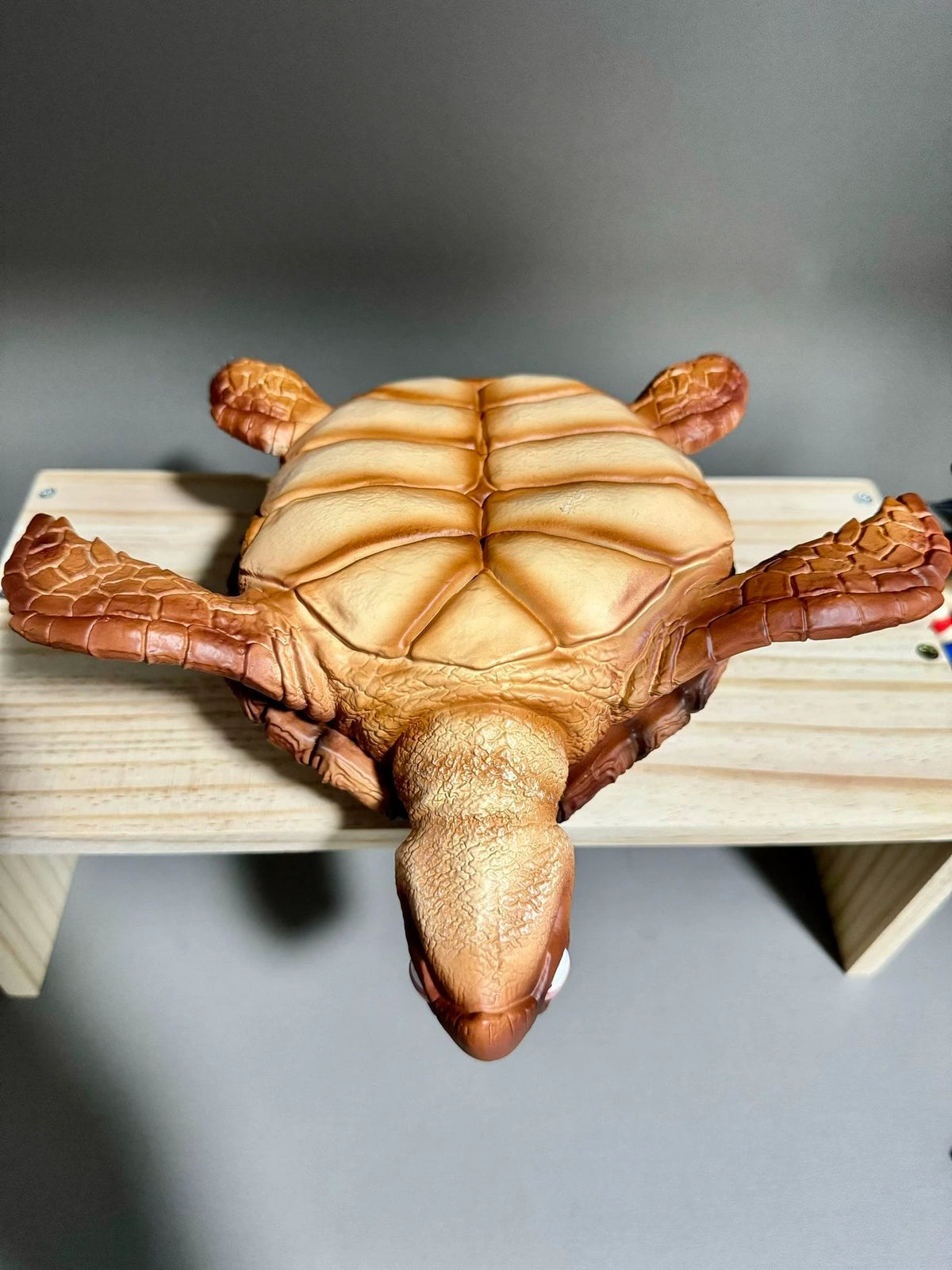 JT Studio Dragon Ball Z Turtle 11cm Anime Figure PVC Statue 1/6 Scale